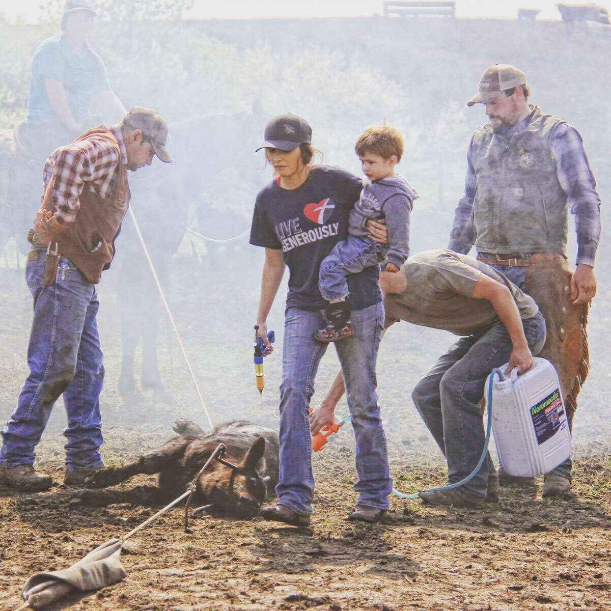 Harrold rancher wins farm and ranch families of South Dakota photo