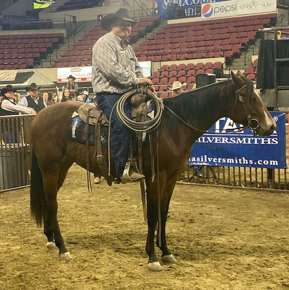 NILE Gold Buckle Select Horse Sale