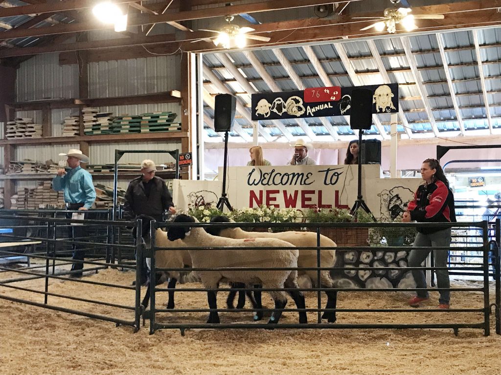 Newell Ram Show & Sale announces winner, sale results