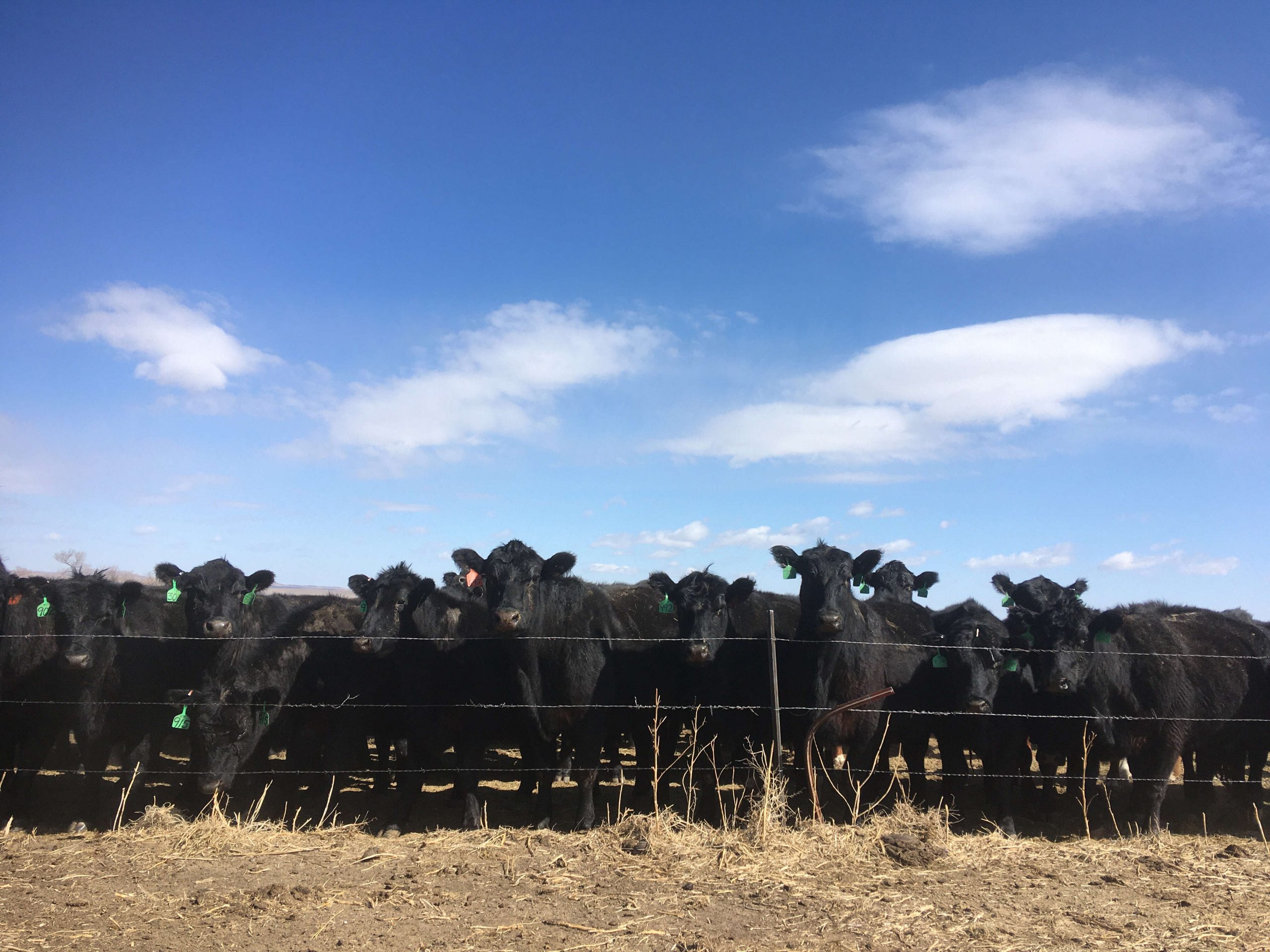 Drought Conditions Persist and Worsen in Great Plains and Beyond | TSLN.com