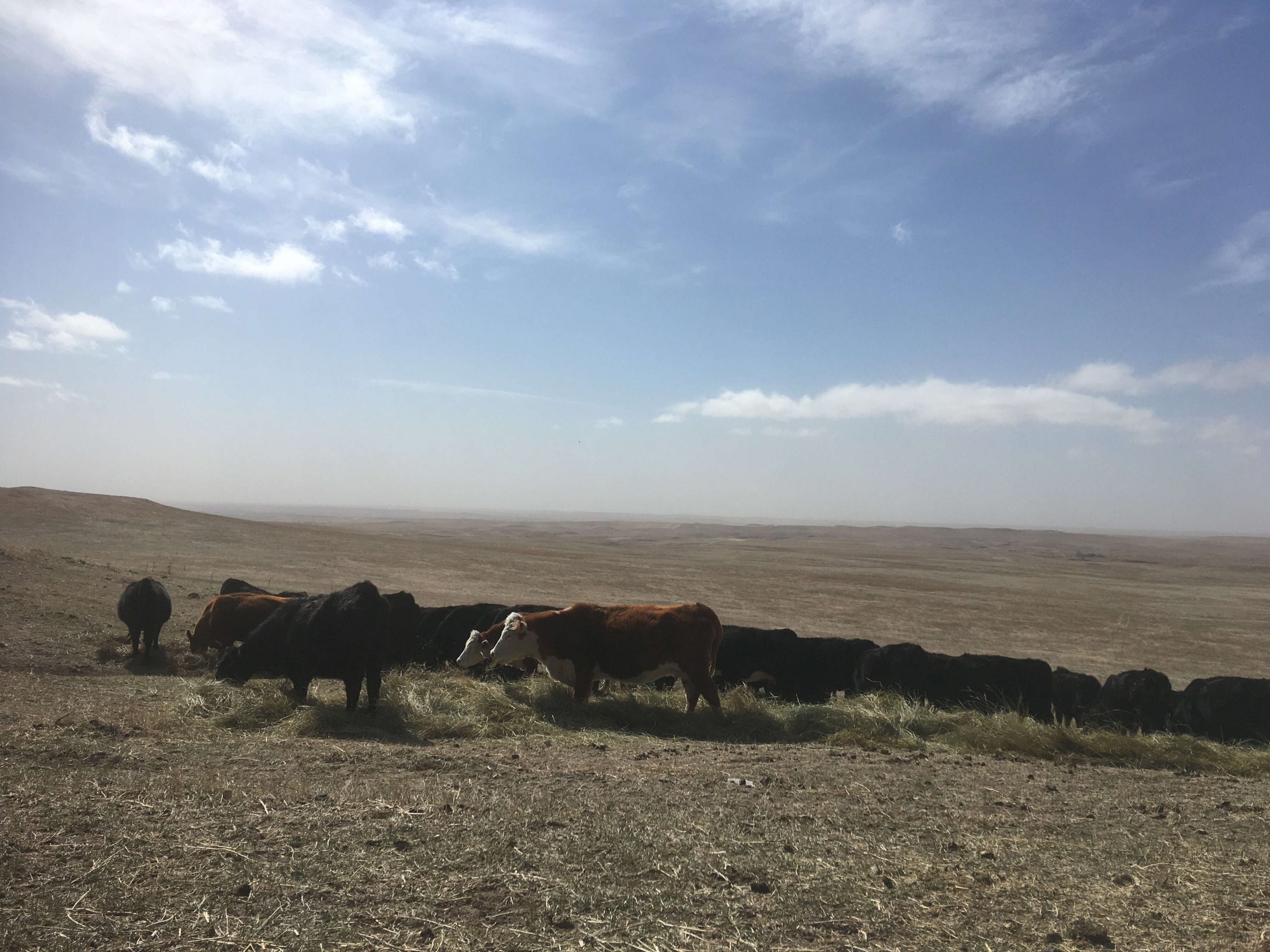 Drought Conditions Persist and Worsen in Great Plains and Beyond | TSLN.com