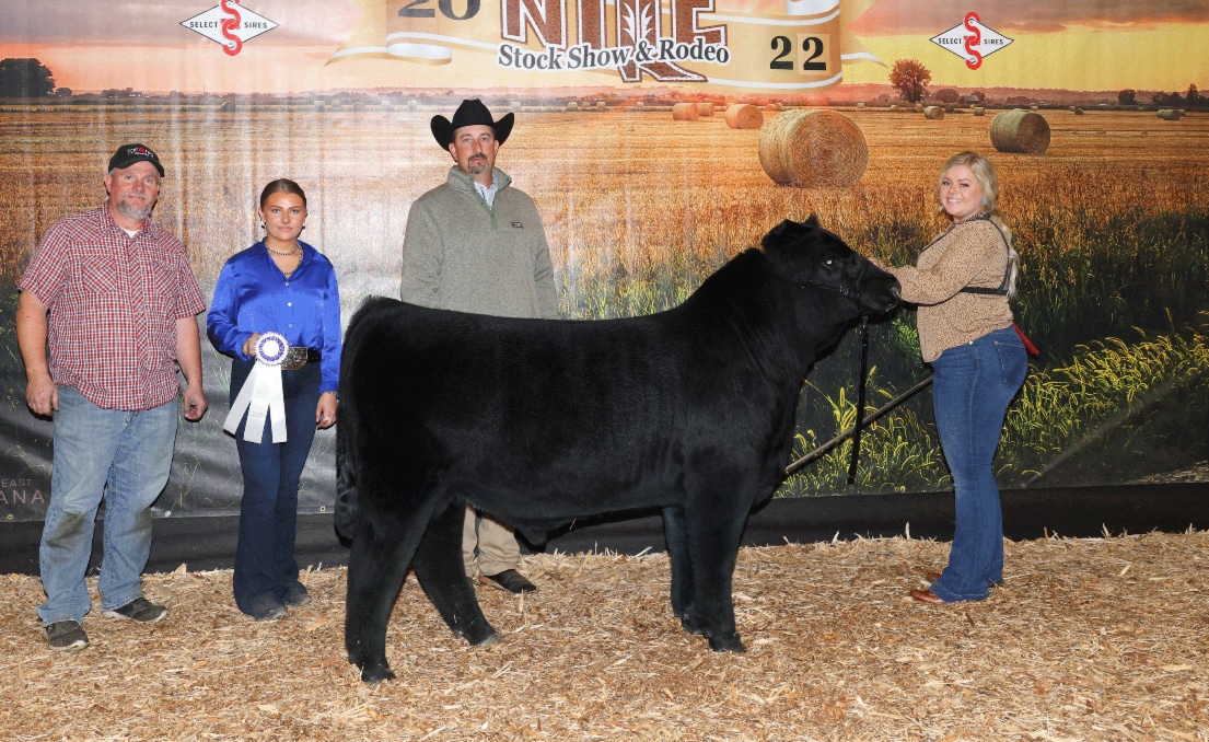 NILE Simmental Show