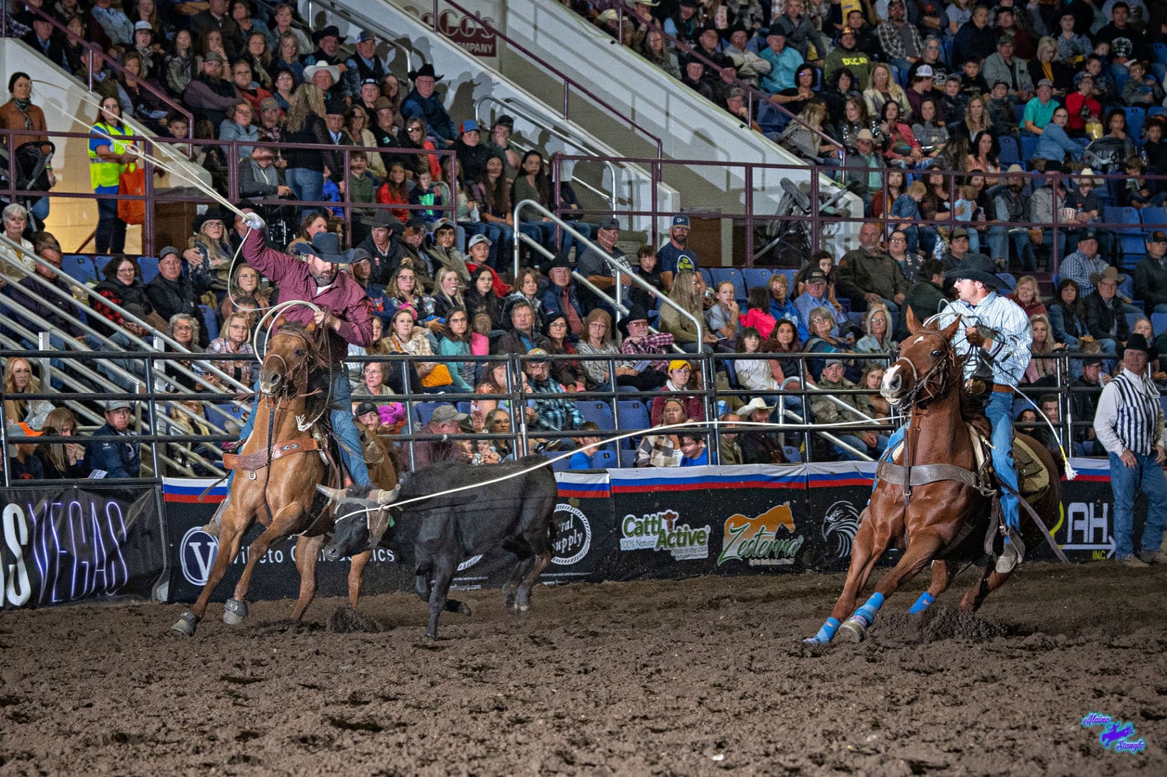 GETTING THE GOLD: Minot’s Badlands Circuit Finals crowns champs ...