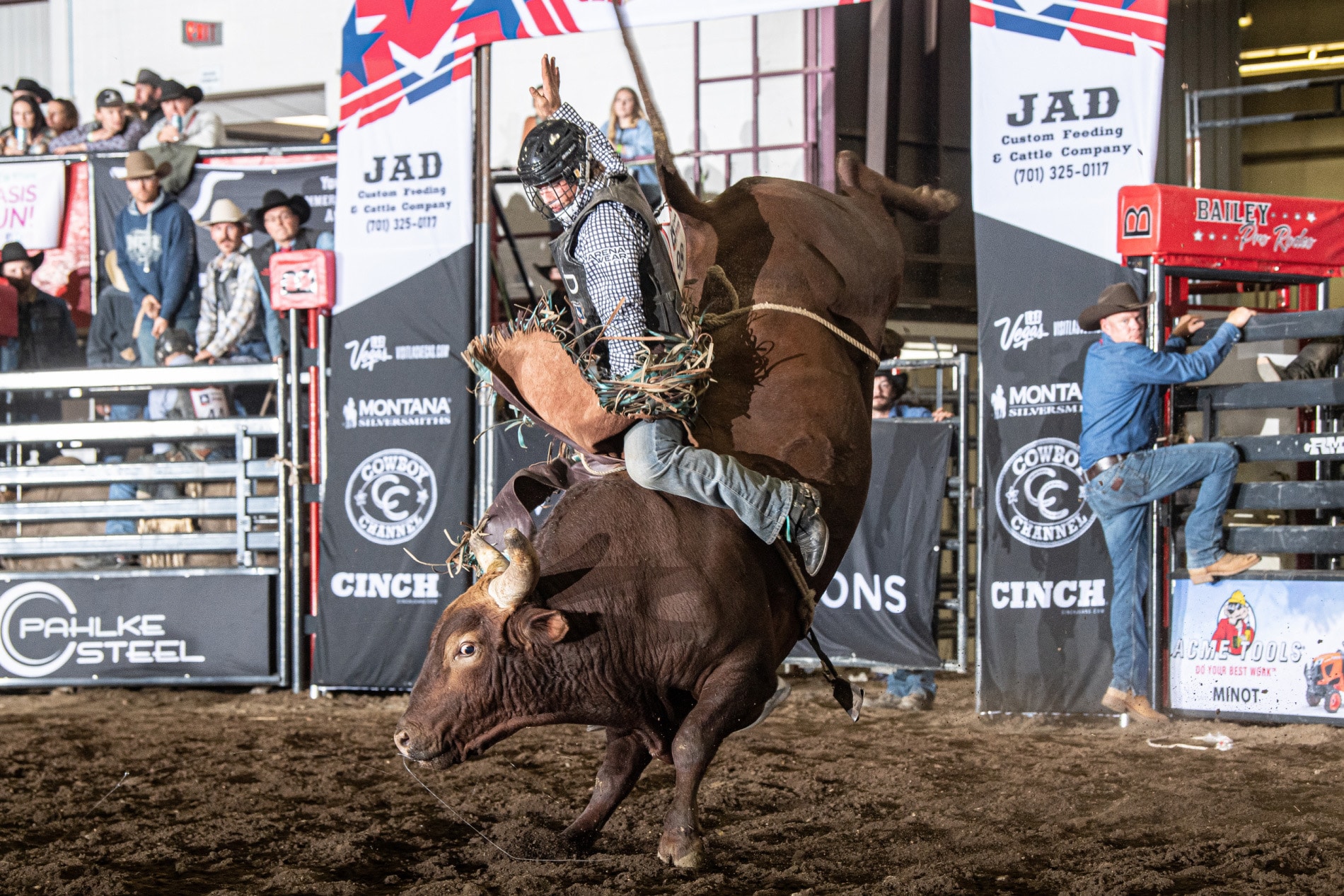 FROM GOOD STOCK Bucking horses, bulls selected as winners for Pro