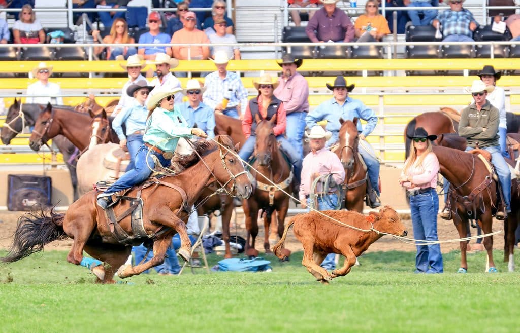 Team Roping Pendleton Rodeo Nebraska, Montana competitors: First-Time Pendleton Champions | TSLN.com