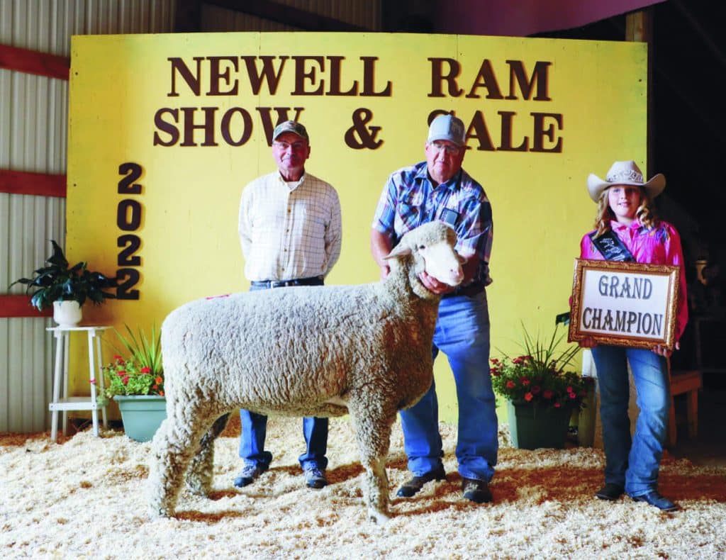 Rambouillet breed takes top honors at Newell Ram Show and Sale