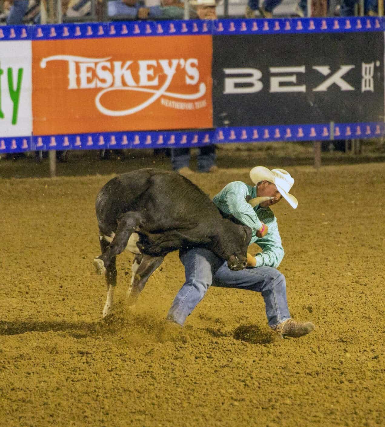 Pinning down a championship Coy Johnston takes home high school steer