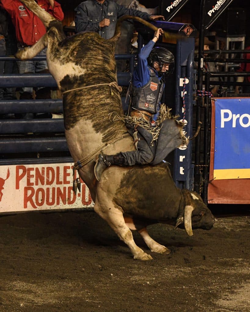 Racetrack to Rodeo Arena: Sharping | TSLN.com