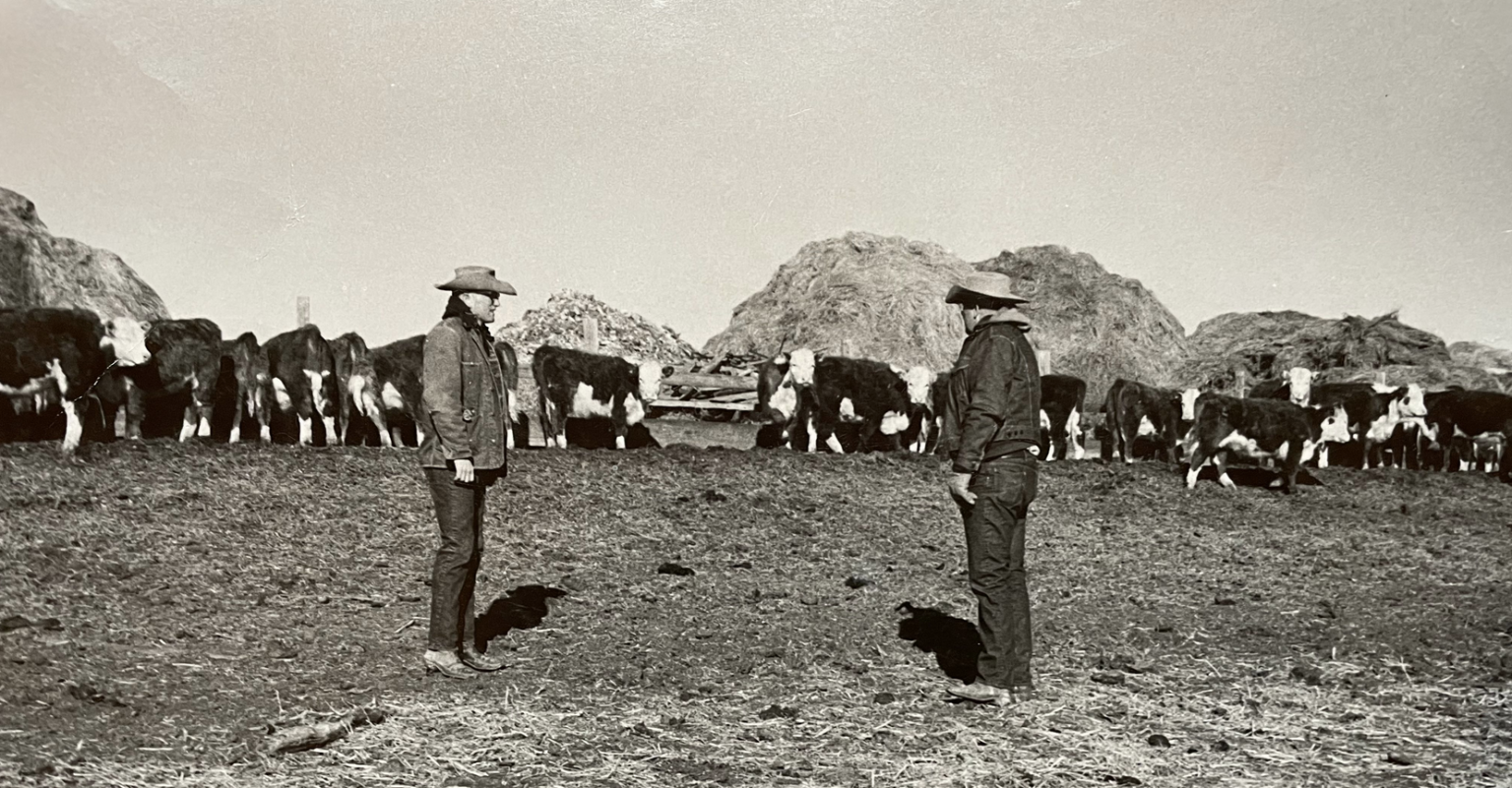 Cattle Journal 2023 Triangle J Ranch, Simmentals, Nebraska