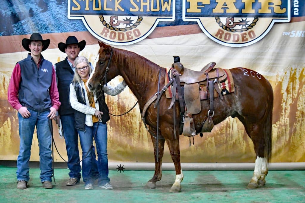 BHSS Farm Credit Services of America Horse Sale Results