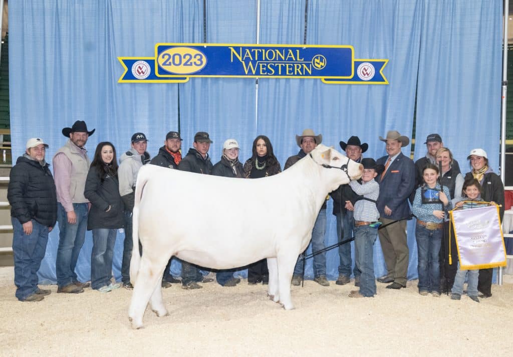 Hoffman Ranch ‘Our Cattle Have to Work in the Real World’