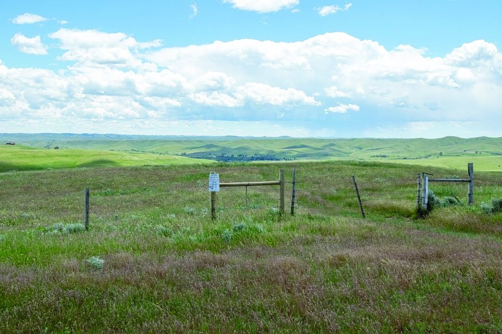 Grazing in Wyoming By the Wyoming Department of Agriculture