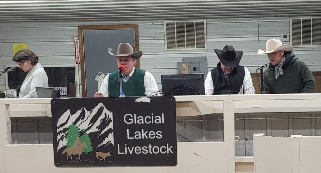 Miller Angus Farms Annual Bull & Female Sale