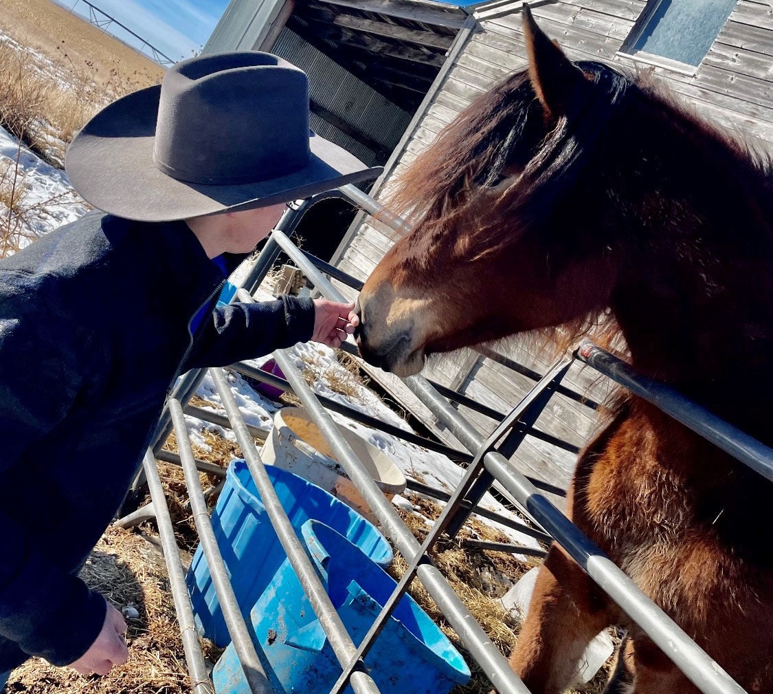 Cowboy Great: S.D. cowboy inducted into National Western Heritage ...