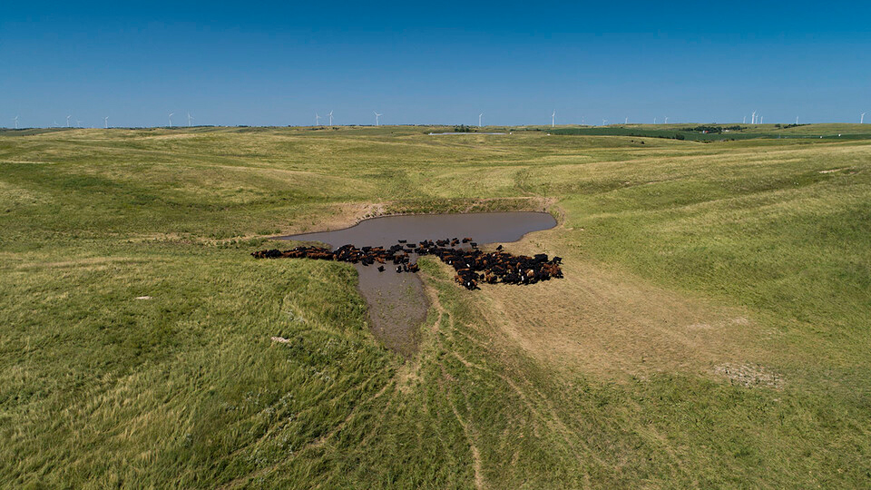 Nebraska ag land values up 6 percent again