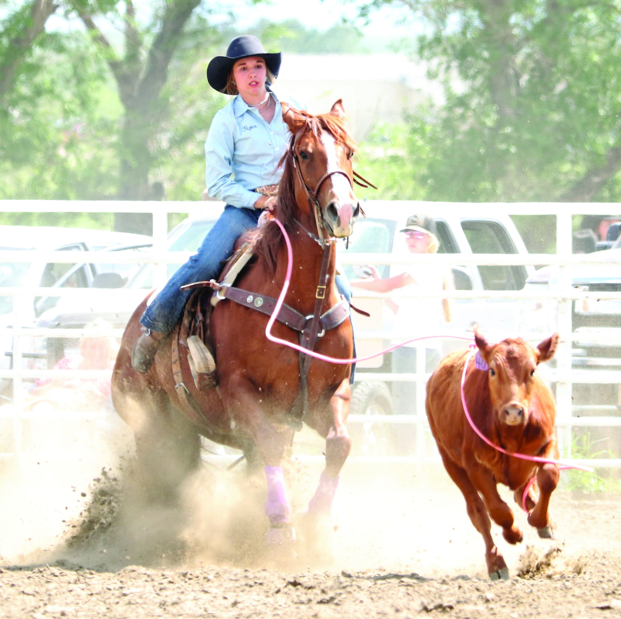 Region 2 Rodeo Buffalo Regional Rodeo | TSLN.com