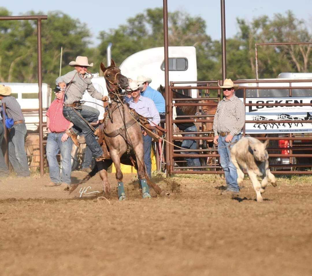 Wrestling in the arena and on the mat: North Dakota athlete Cole ...