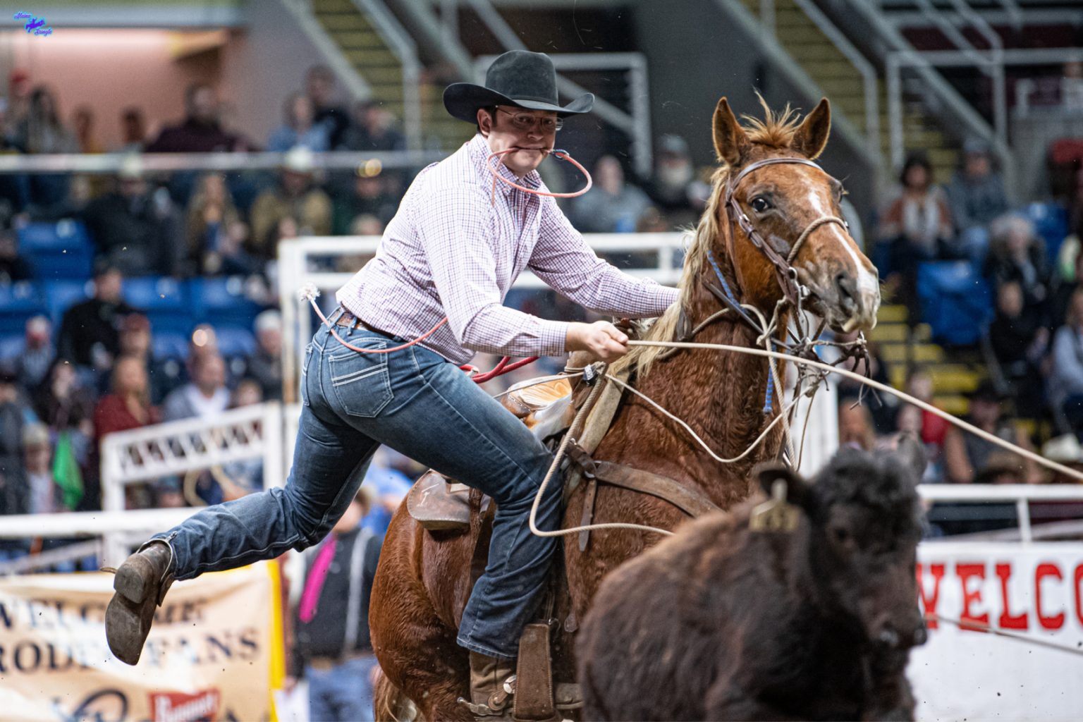 Chace Rodeo Number One: Badlands cowboys, cowgirls enter Circuit Finals Rodeo in ...