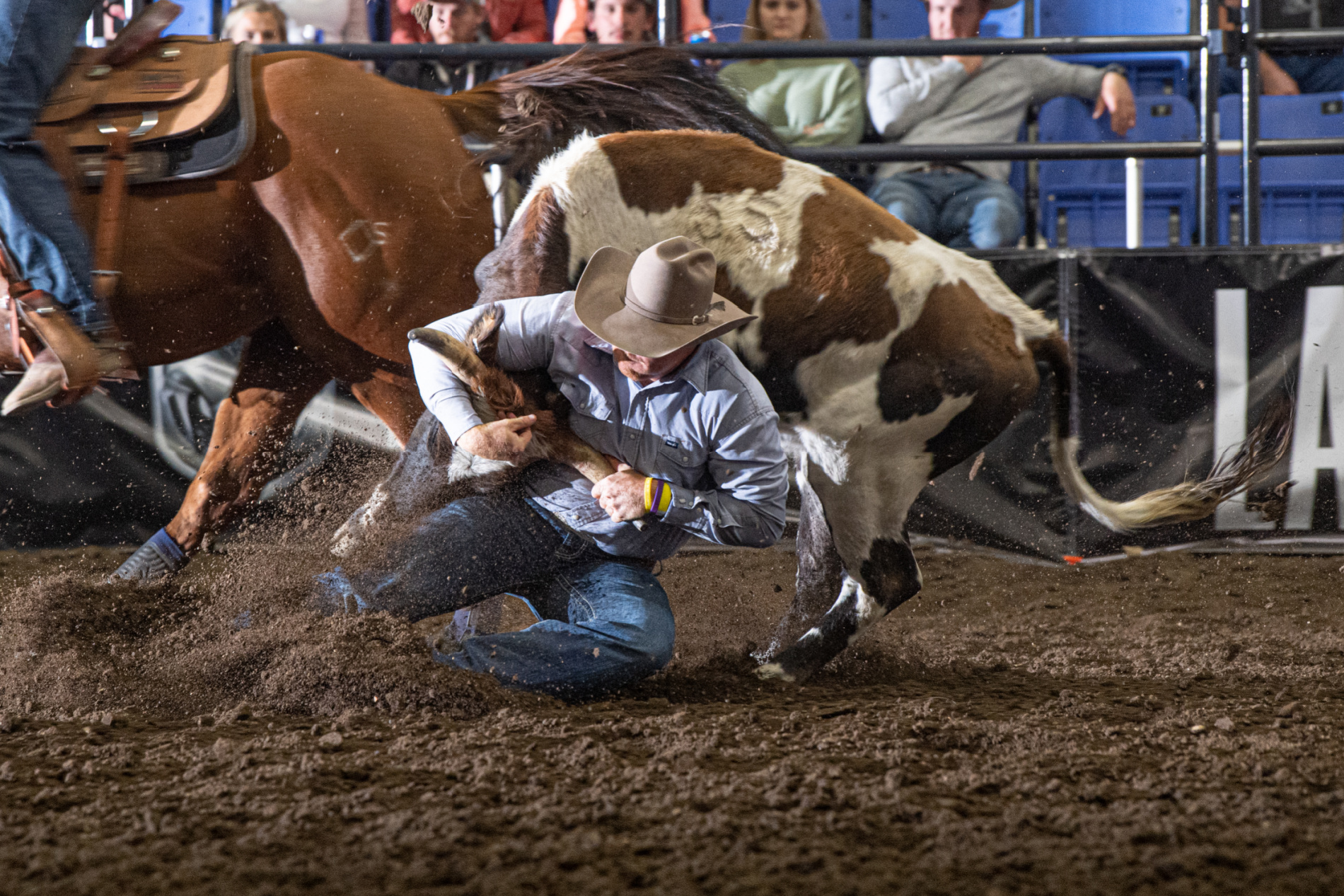 Number One: Badlands cowboys, cowgirls enter Circuit Finals Rodeo in ...