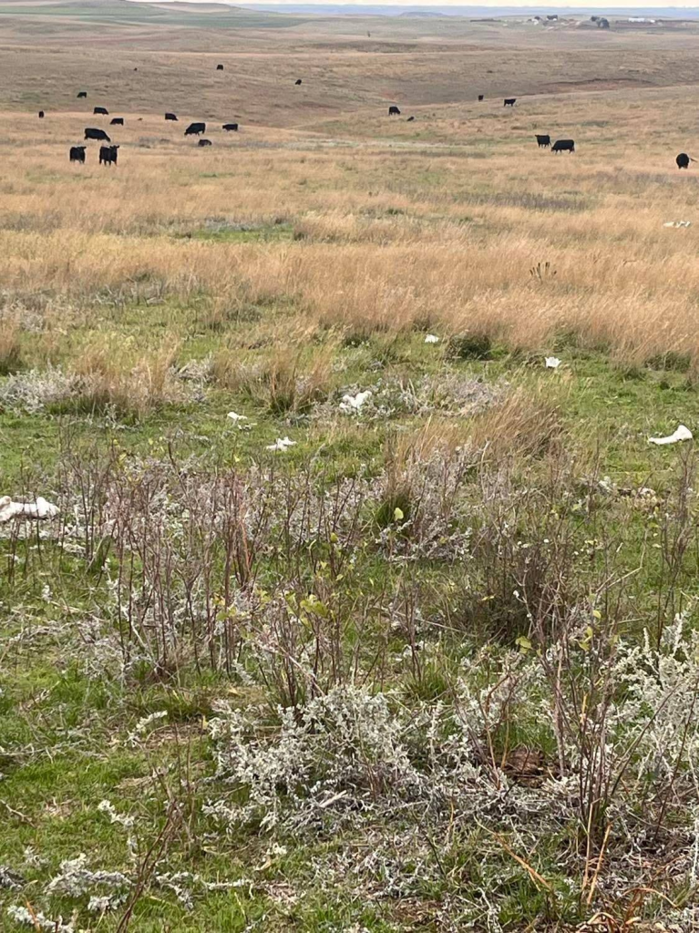 Markets Lake Norden Farmers Elevator Company