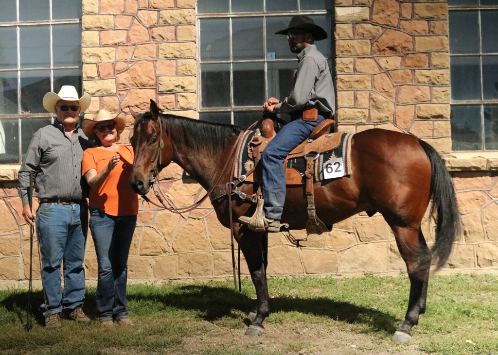 Sugar Bars Legacy 21st Anniversary Quarter Horse Sale