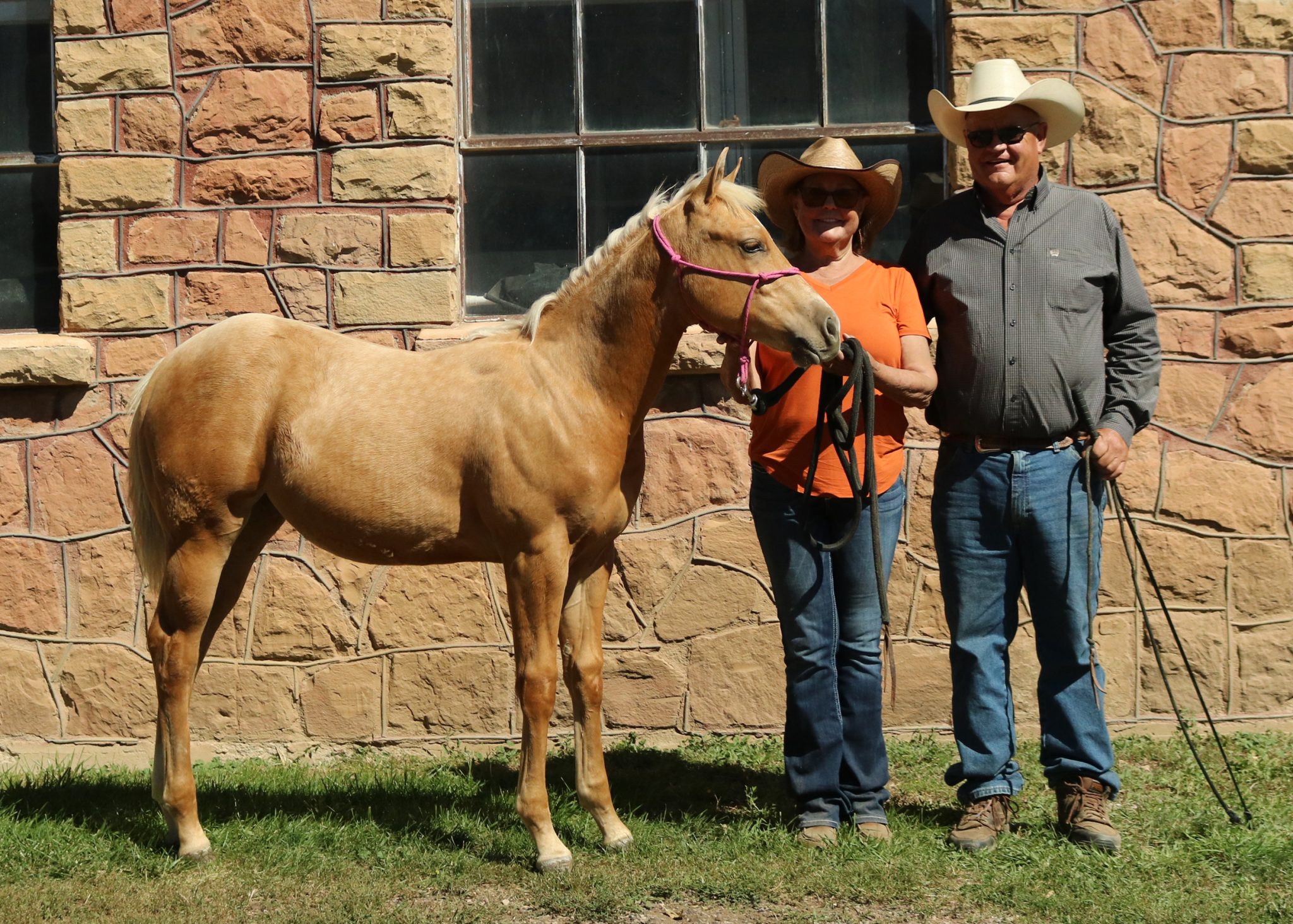 Sugar Bars Legacy 21st Anniversary Quarter Horse Sale