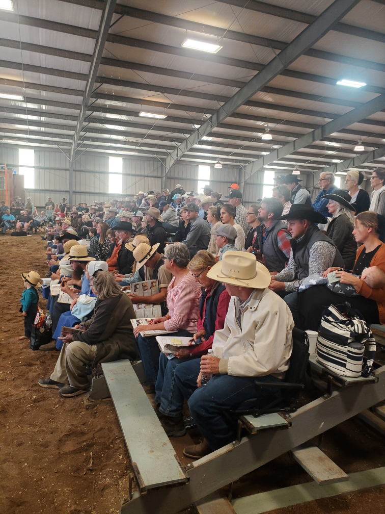 Jamison Quarter Horses 20th Annual Breeders and Ranchers Production ...
