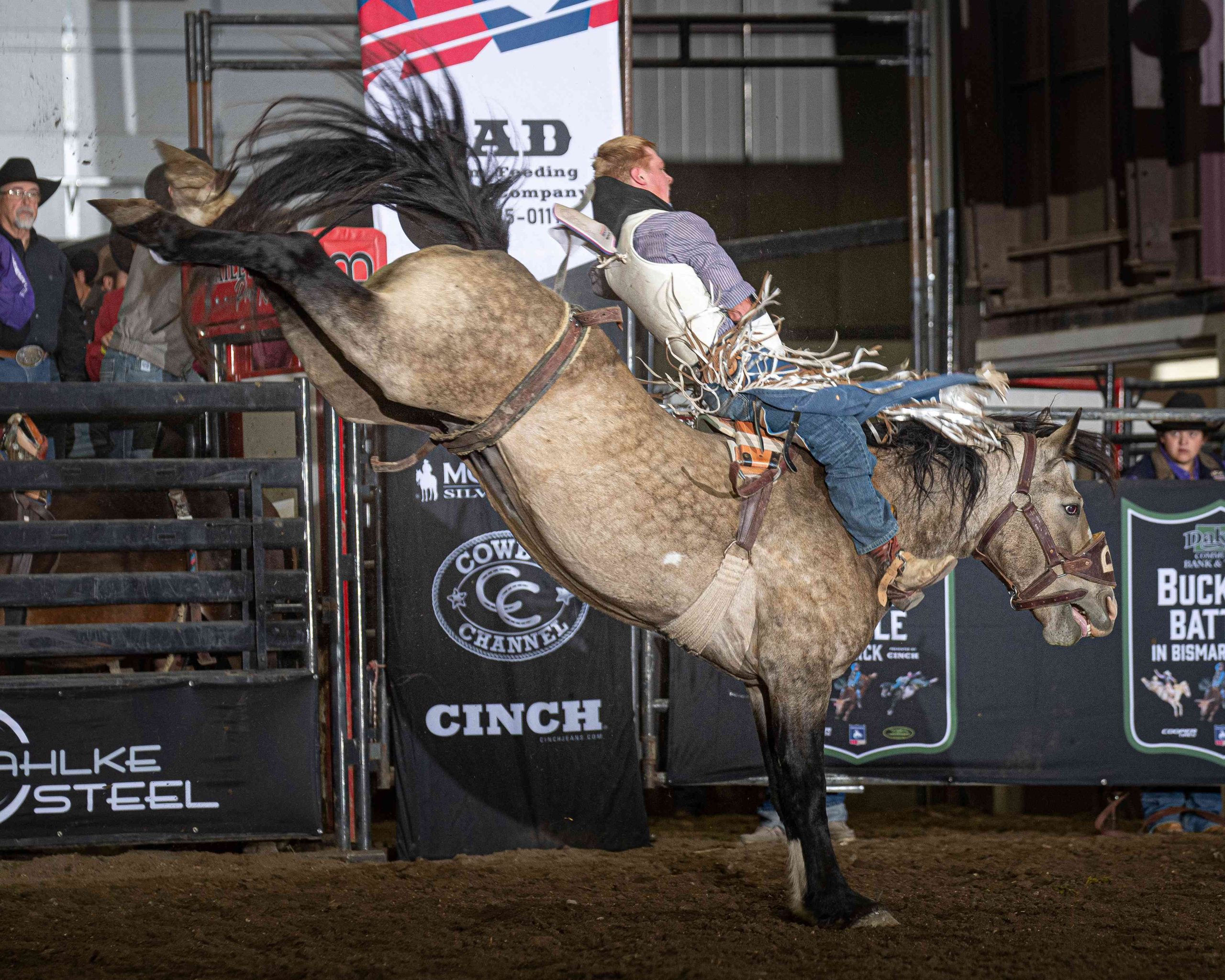 TAKING STOCK: Badlands Circuit awards bucking horses, bulls of the ...