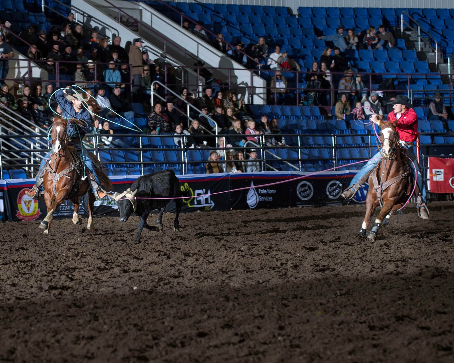 Horse Power Horses selected as award winners in the Badlands Circuit