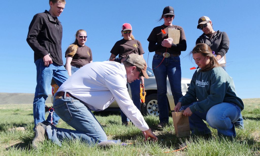 UW Board of Trustees Approves New Bachelor's Degree in Ranch Management and Ag Leadership - Vimarsana News