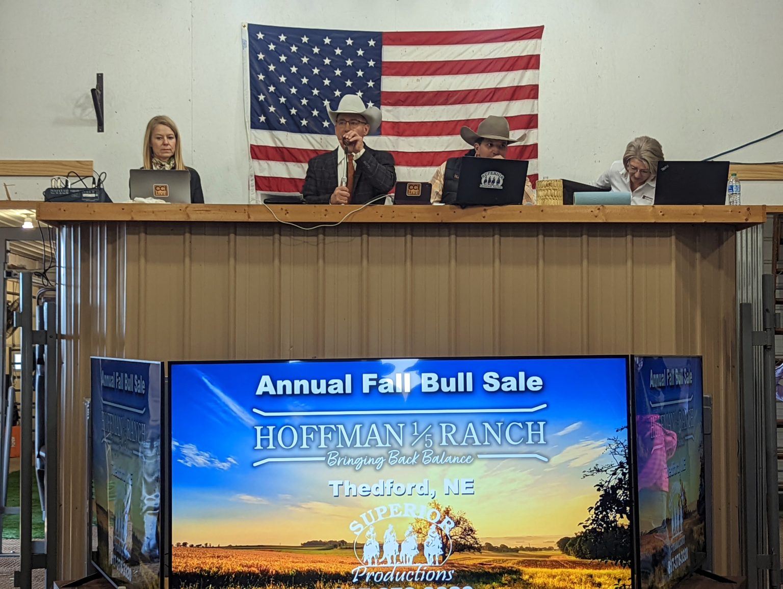 Hoffman Ranch Fall Production Sale