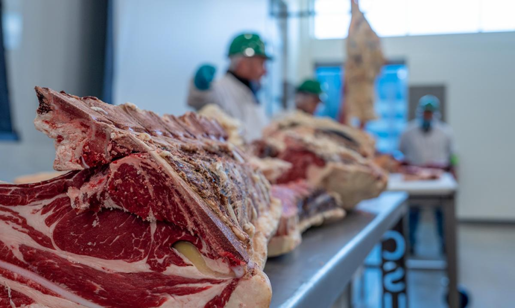 Growth Promotant Technologies: Impact on Beef Production and Meat Quality – Research - Vimarsana News