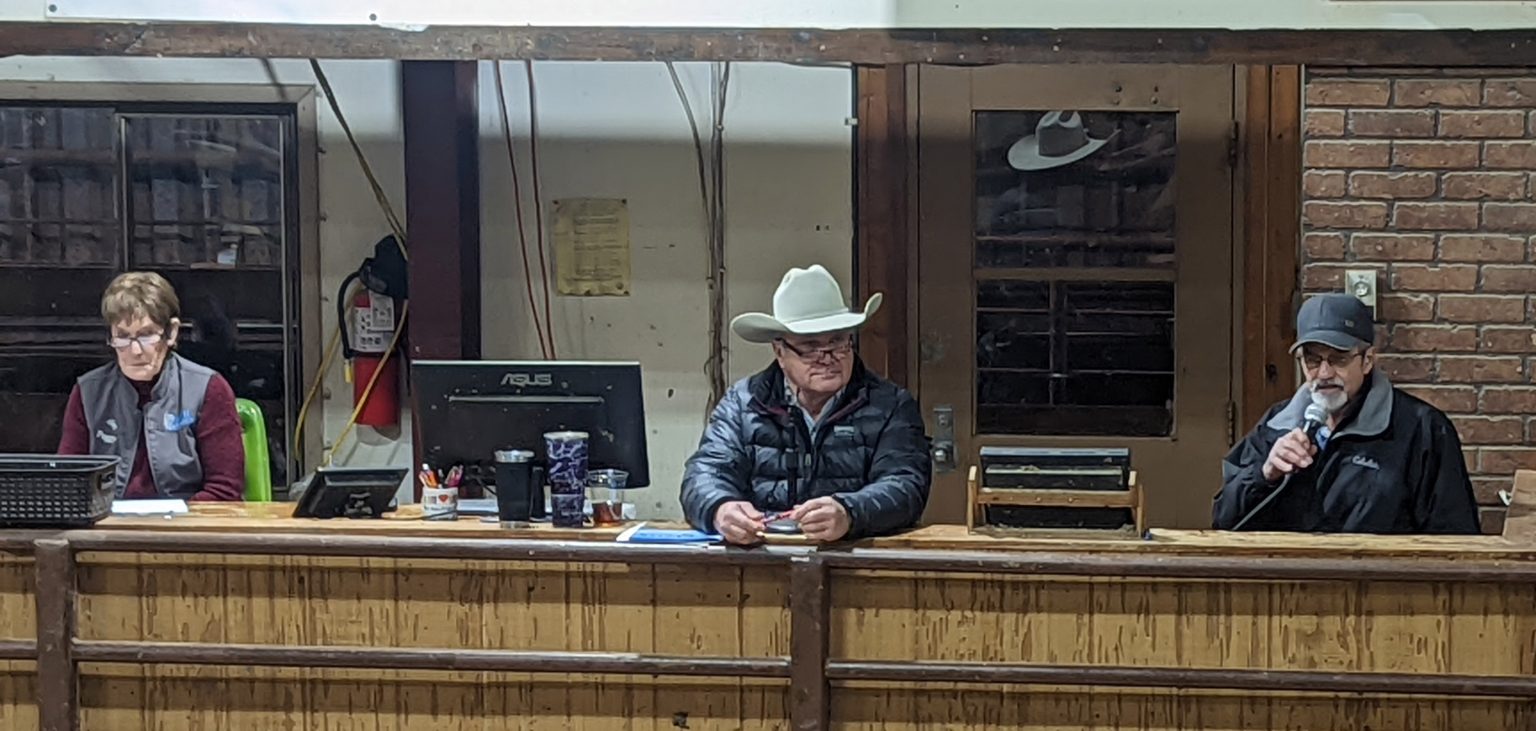 Pine Creek Angus Annual Coming 2 Year Old Bull and Bred Heifer Sale