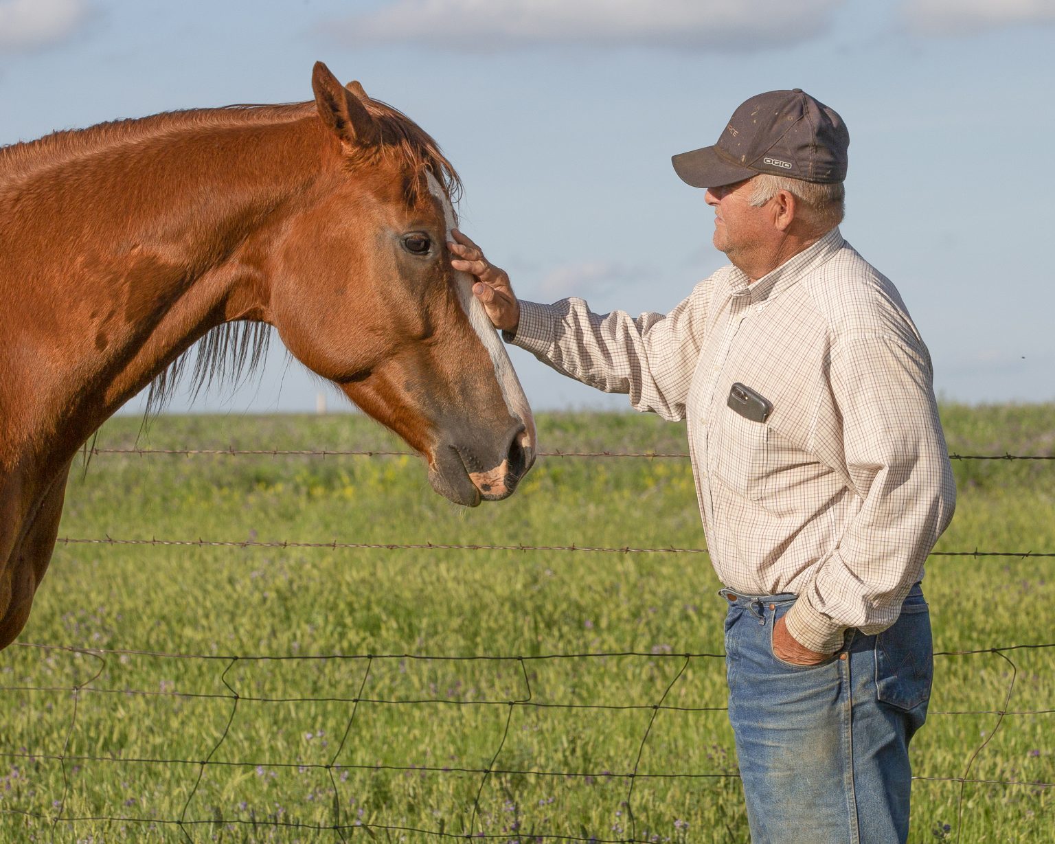 Stallion Showcase 2024 Carrying the Torch Family Continues Butch