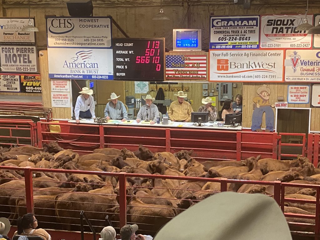 2024 Winter Cattle Journal Gill Red Angus