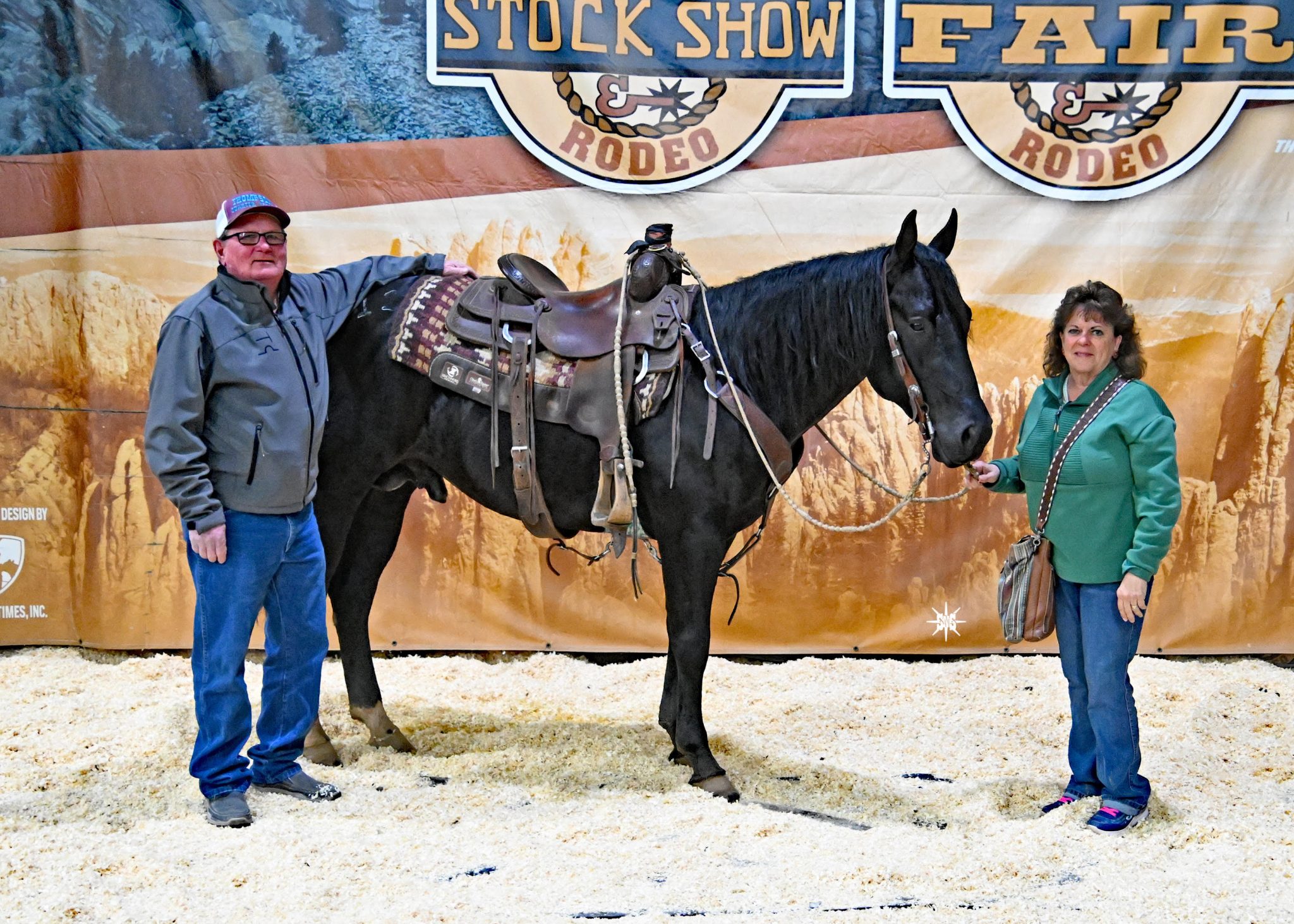 2024 Black Hills Stock Show Farm Credit Services of America Horse Sale