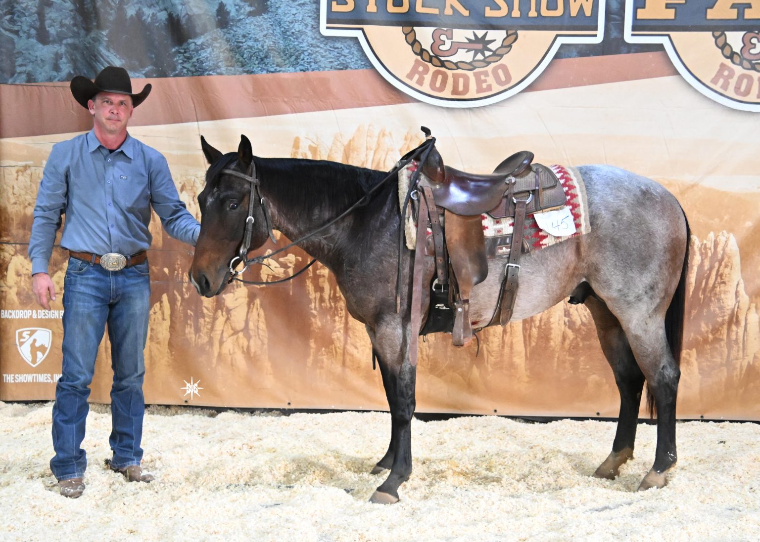 2024 Black Hills Stock Show Farm Credit Services of America Horse Sale
