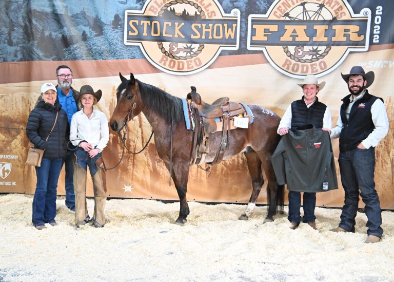 2024 Black Hills Stock Show Farm Credit Services of America Horse Sale