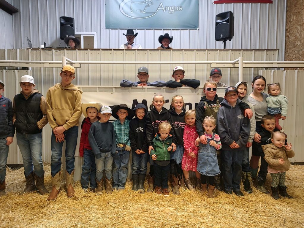 McConnell Angus Bull & Female Sale - Vimarsana News