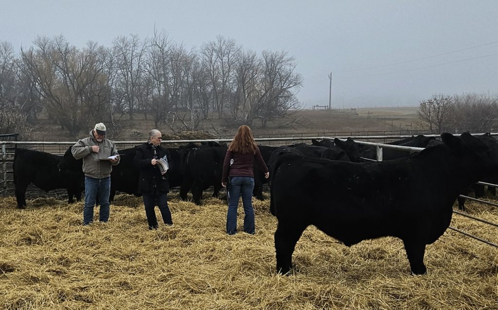 Markets Prinsburg Farmers Coop