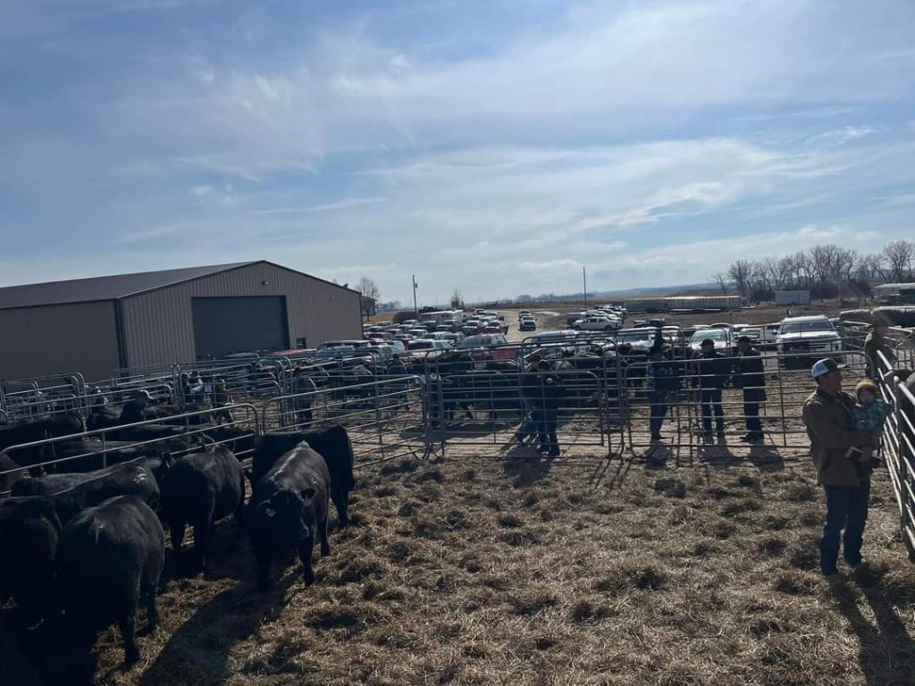 Poss Angus Annual Bull Sale