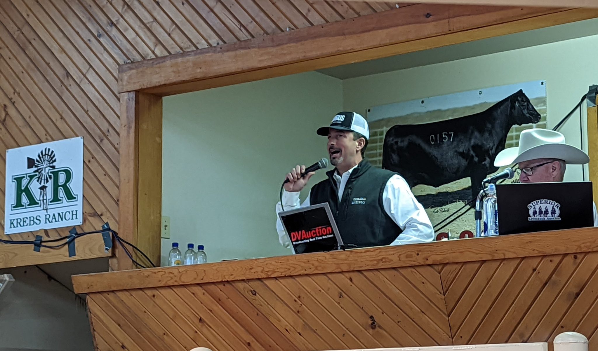 Krebs Ranch Bull Sale