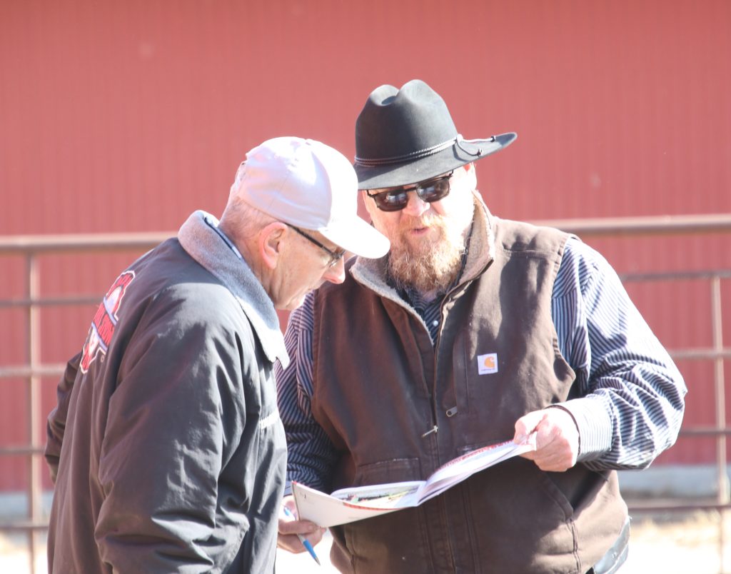Symens Brothers 44th Annual “Muscle Up for Profit” Limousin Sale | TSLN.com
