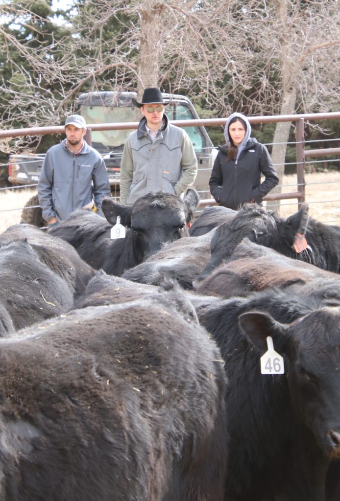 Markets Ritzville Warehouse Company