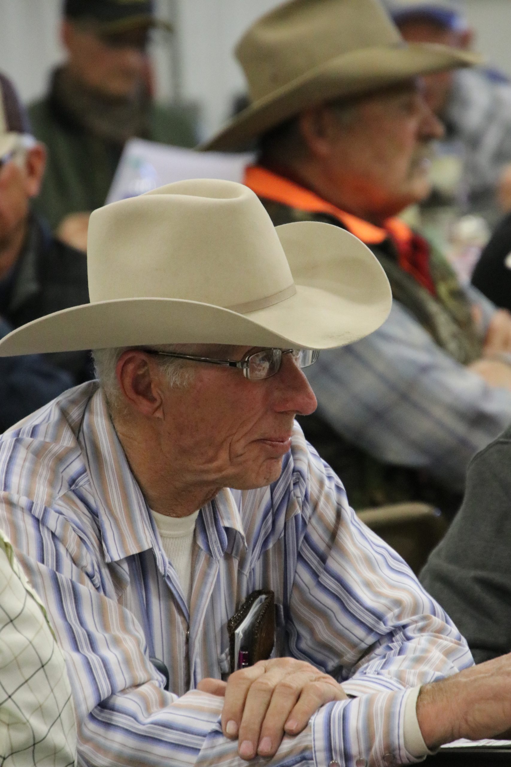 Heart River Ranch Red Angus Annual Bull Sale