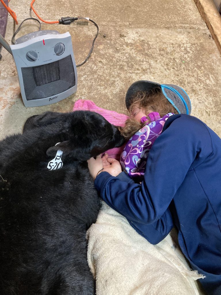 No Relief: Devastation in Wyoming Winter of 2022-23 | TSLN.com