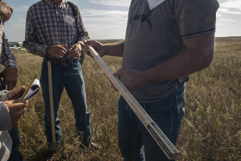 2024 Forage | Assessing Pasture Forage: What’s in Your Field? | TSLN.com