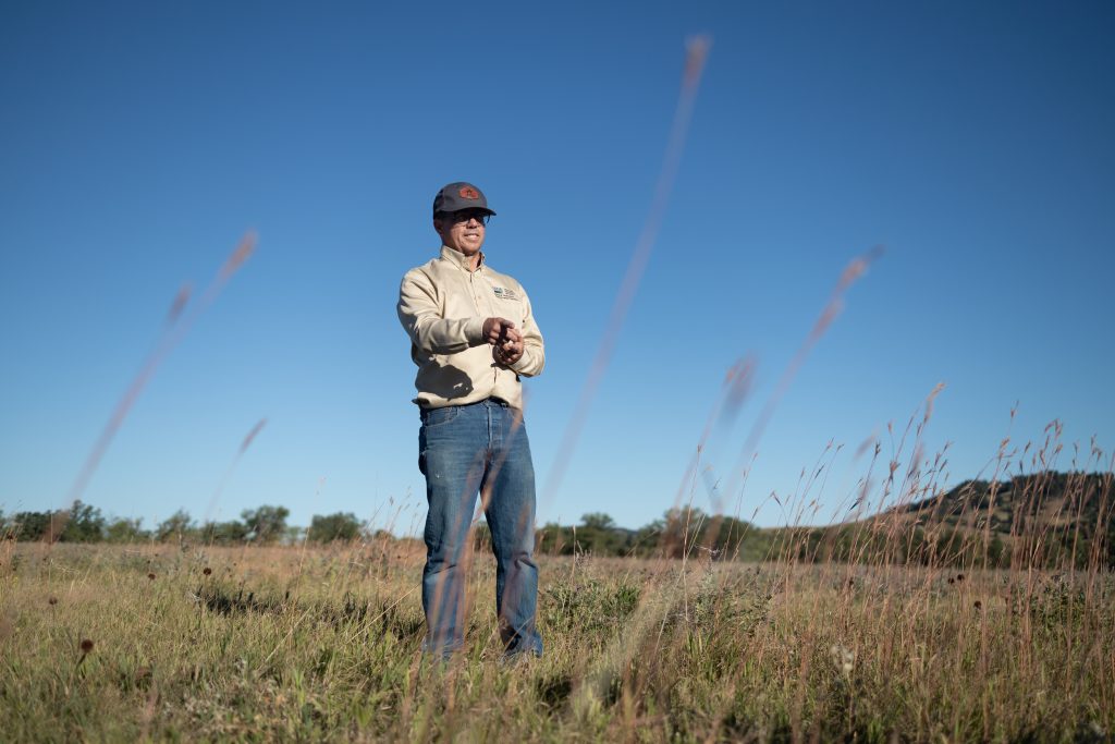 2024 Forage | Assessing Pasture Forage: What’s in Your Field? | TSLN.com