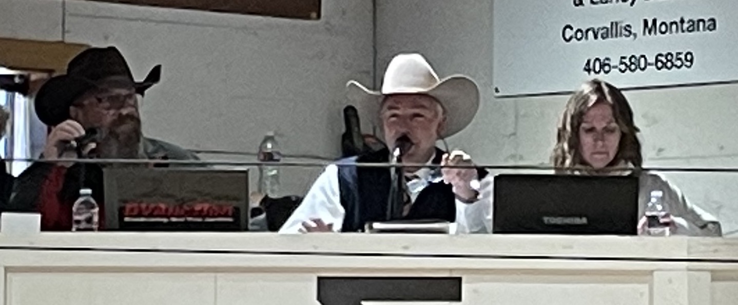 Green Mountain Red Angus Bull Sale