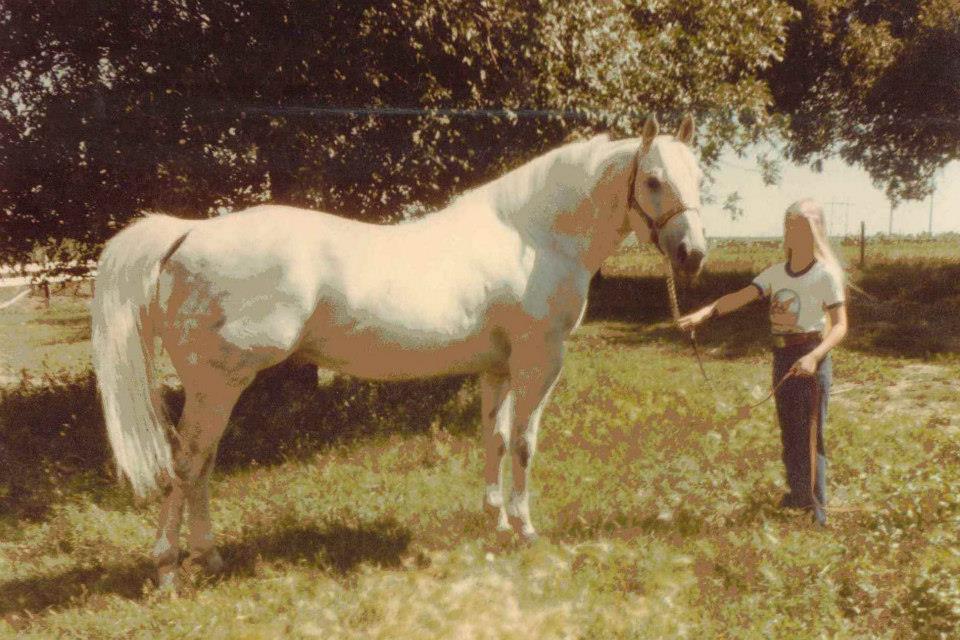 SDQHA 50 Year Breeder: Holmes Quarter Horses - Vimarsana News